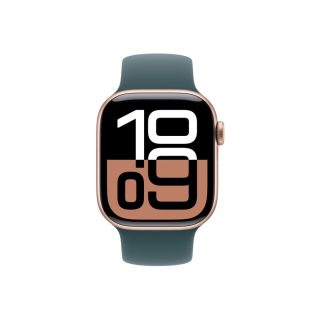 Apple Watch 42mm Sport Band: Lake Green Sport Band - M/L (Seasonal)