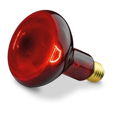 Beurer IL 11 Infrared bulb 100 W