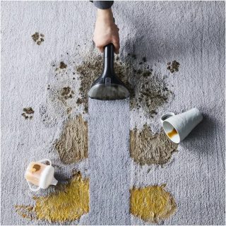 Rowenta XD5320F0 Clean It Pet Аксесоар