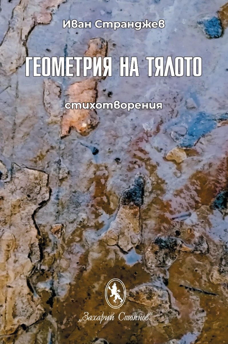 Геометрия на тялото