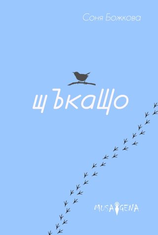 Щъкащо