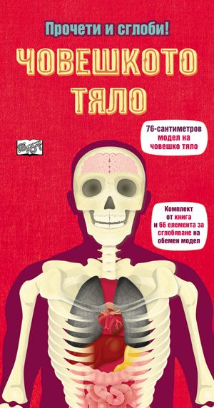 Прочети и сглоби! - Човешкото тяло