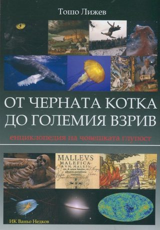 От черната котка до големия взрив