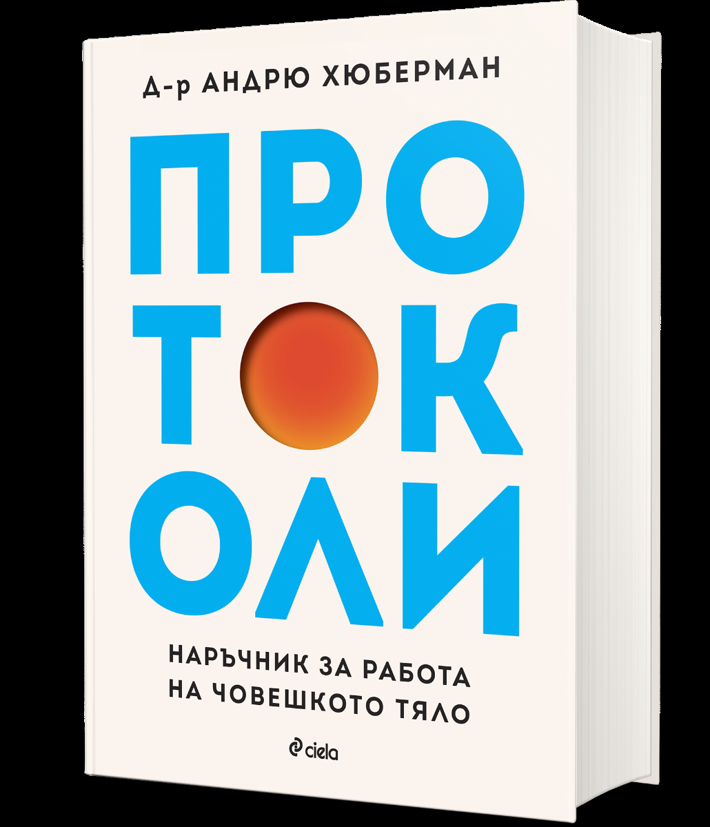 Протоколи