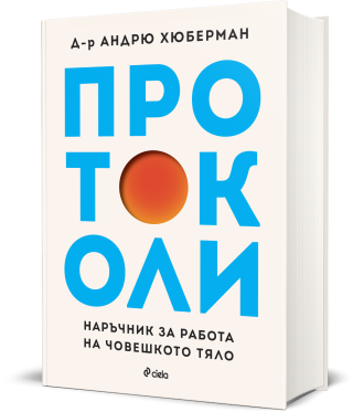 Протоколи