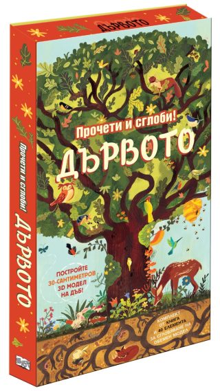 Дървото - Прочети и сглоби!