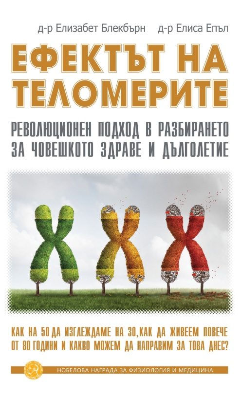 Ефектът на теломерите