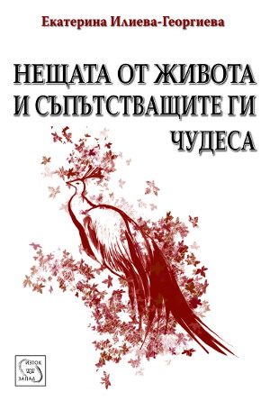 Нещата от живота и съпътстващите ги чудеса