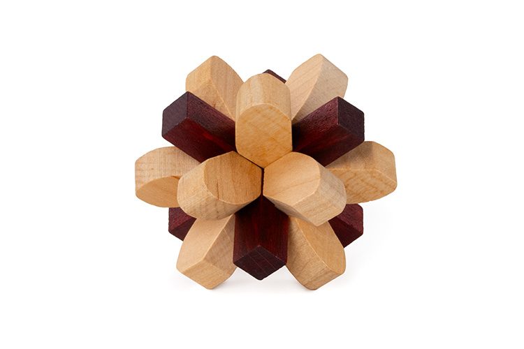 Brain Puzzle #2