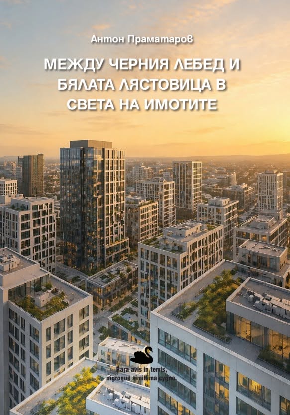 Между черния лебед и бялата лястовица в света на имотите