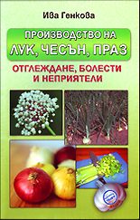 Производство на лук, чесън и праз