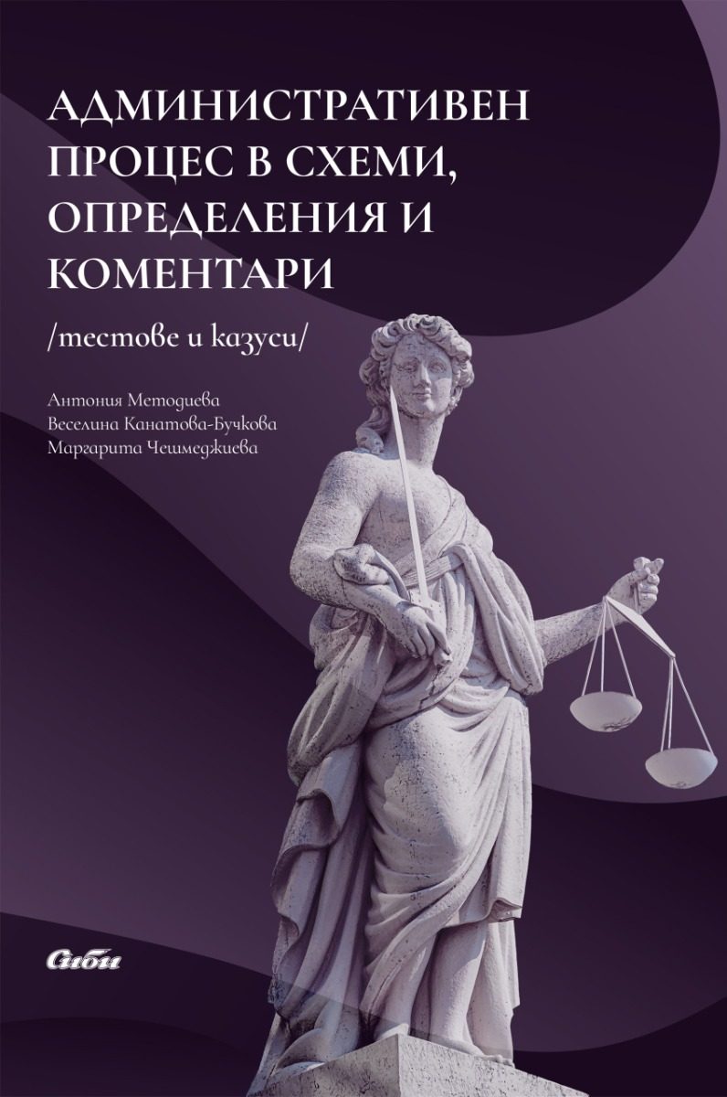 Aдминистративен процес в схеми, определения и коментари