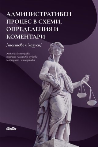 Aдминистративен процес в схеми, определения и коментари