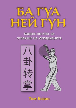 Ба гуа Ней гун