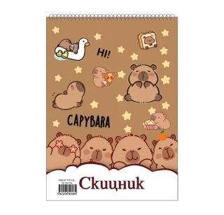 Скицник спирала офсет Хит 24/34 20 л. 170 гр. Данива