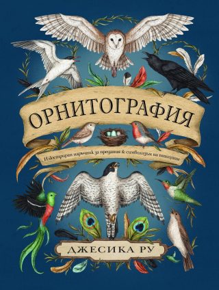Орнитография