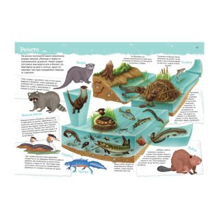 Книжка КОЙ КЪДЕ ЖИВЕЕ 18.90лв ПУХ !!!