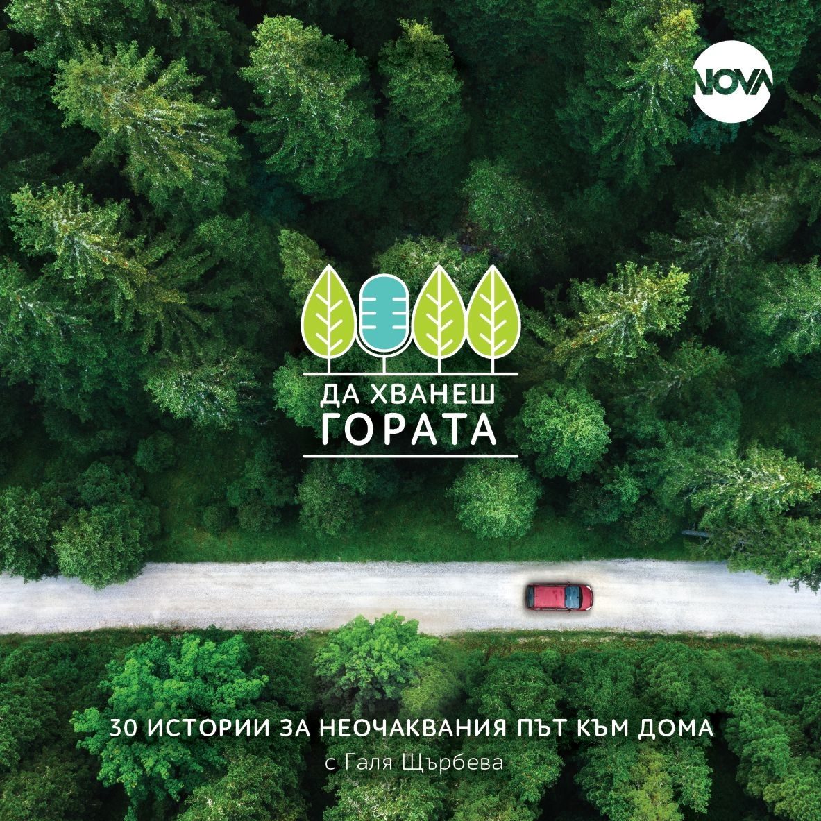 Да хванеш гората - Пътеводител