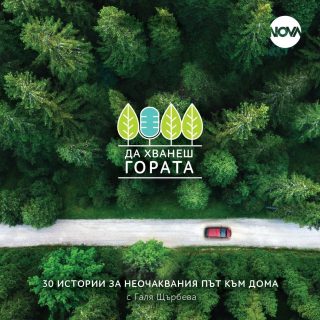 Да хванеш гората - Пътеводител
