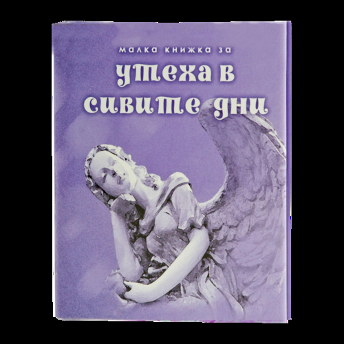 Малка книжка за утеха в сивите дни