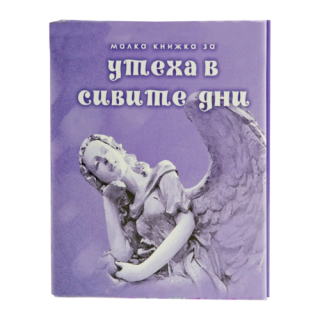 Малка книжка за утеха в сивите дни