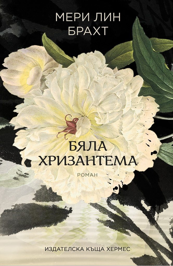 Бяла хризантема