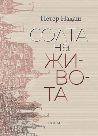 Солта на живота