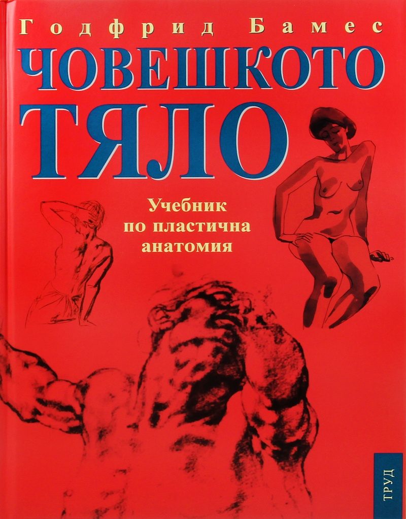 Човешкото тяло - Учебник по пластична анатомия
