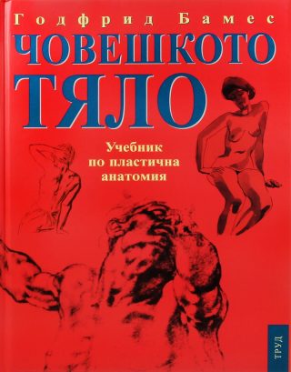 Човешкото тяло - Учебник по пластична анатомия