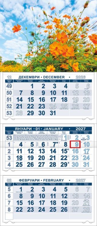 Календар стенен ПК КС25 цветна глава с прозорец 2027