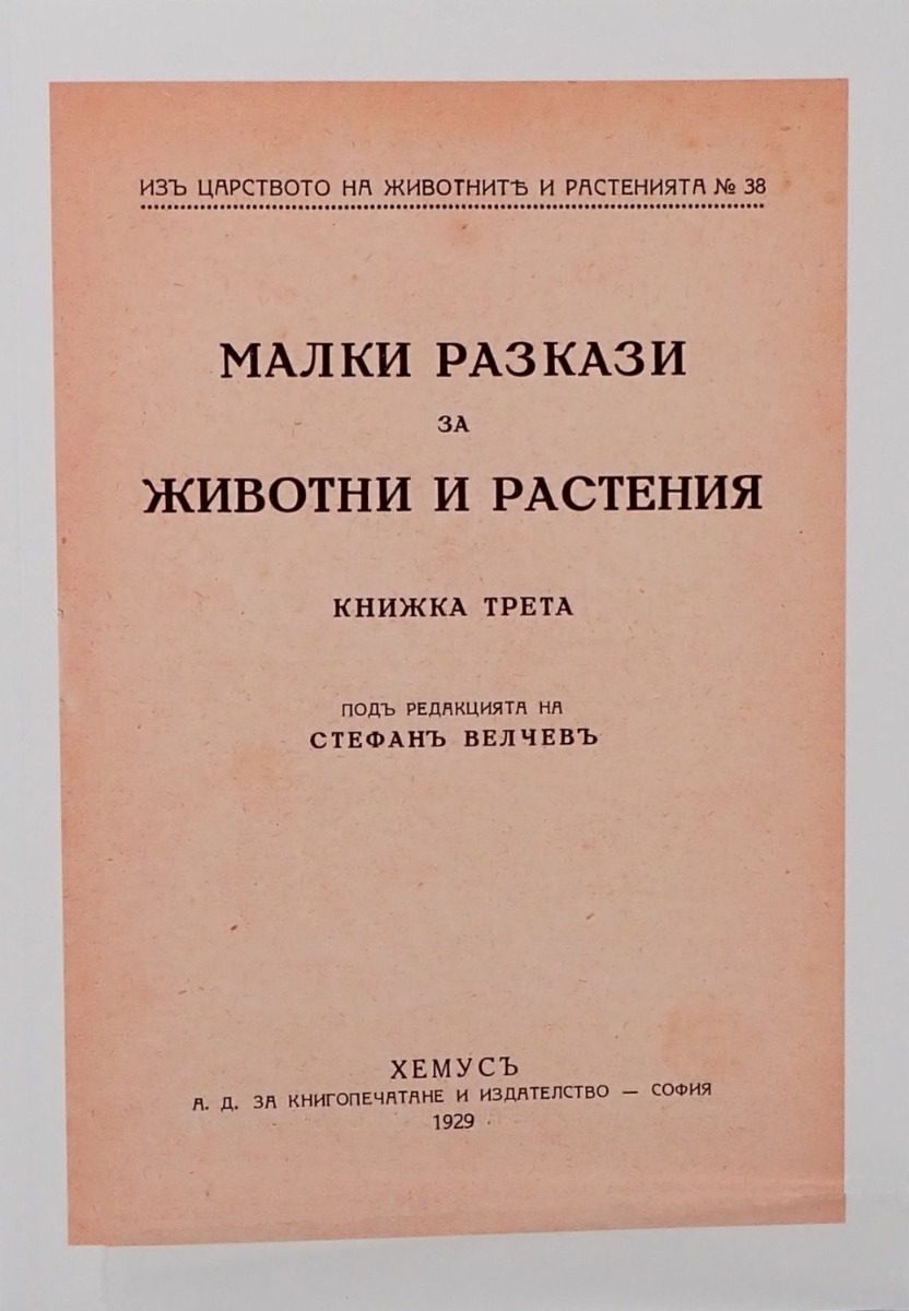Малки разкази за животни и растения