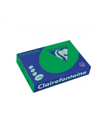 Картон CLAIRE 160гр А4 250Л INT.GREEN №1019 !!!