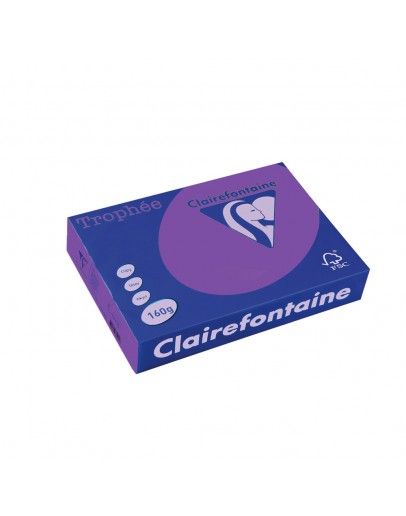 Картон CLAIRE 160гр А4 250Л INT.LILAC №1018 !!!