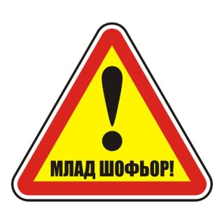 Пиктограми ДИНЕЛ МЛАД ШОФЬОР №211