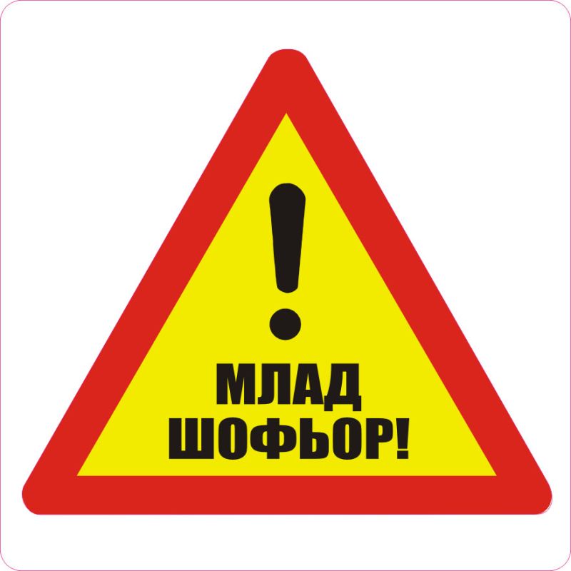 Пиктограми ДИНЕЛ Млад шофьор 2бр. №511