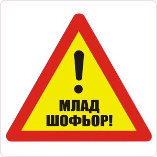 Пиктограми ДИНЕЛ Млад шофьор 2бр. №511