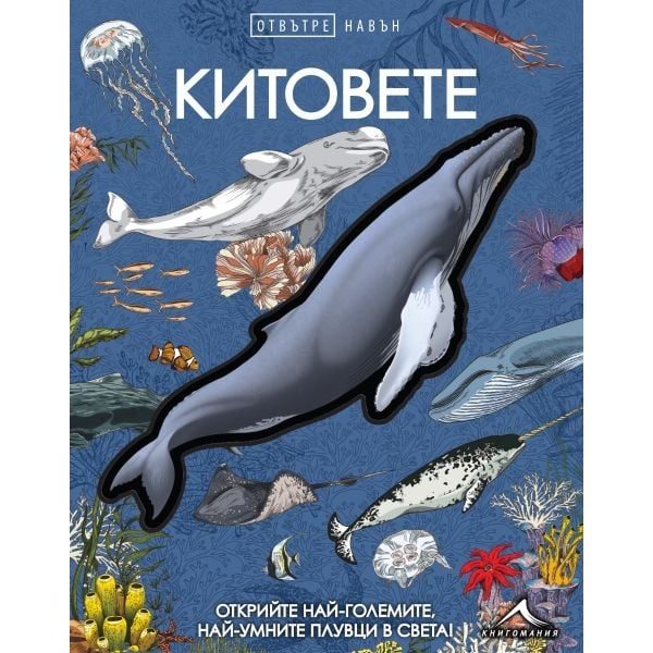 Китовете - Отвътре навън