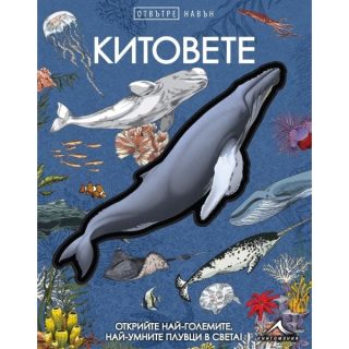 Китовете - Отвътре навън