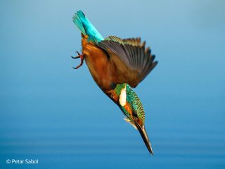 Обектив Sony FE 70-200mm f/2.8 GM OSS II