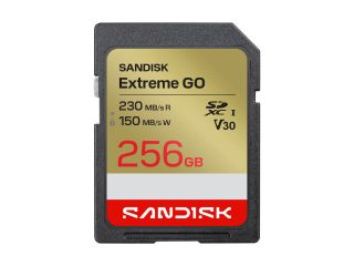 Карта памет SanDisk Extreme GO, UHS-I, SDXC, V30, 256GB